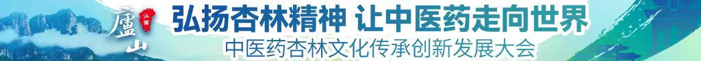 日本大屌妞视频中医药杏林文化传承创新发展大会